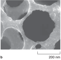 Figure 1b