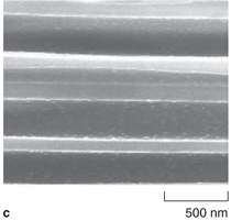 Figure 1c